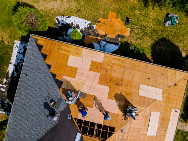 Best Metal Roofing Contractor  in Kaunakakai, HI