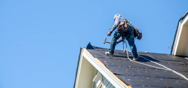 Best Roof Maintenance Services  in Kaunakakai, HI